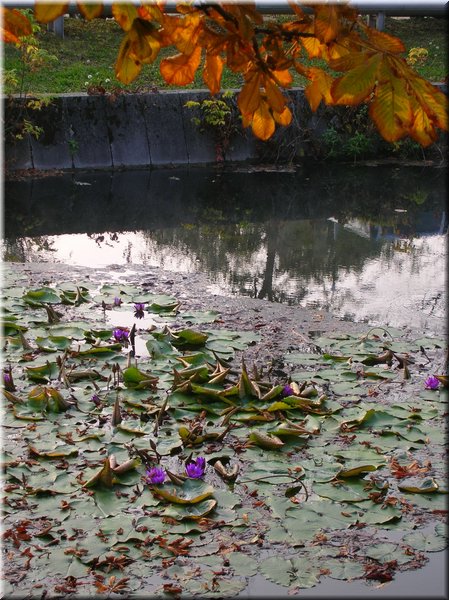 DSCN2470.jpg