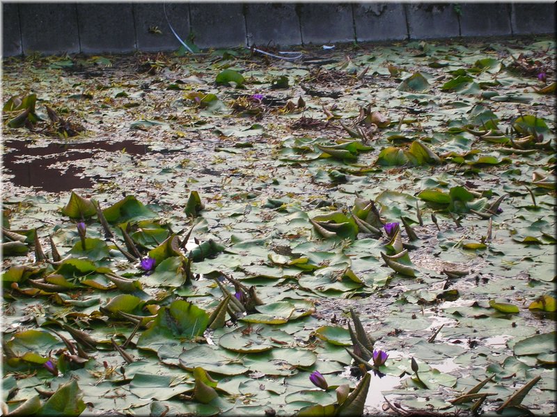 DSCN2473.JPG