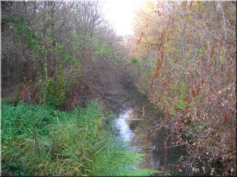 DSCN2482.JPG