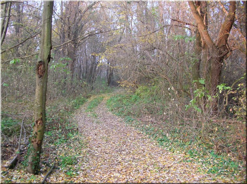 DSCN2483.JPG
