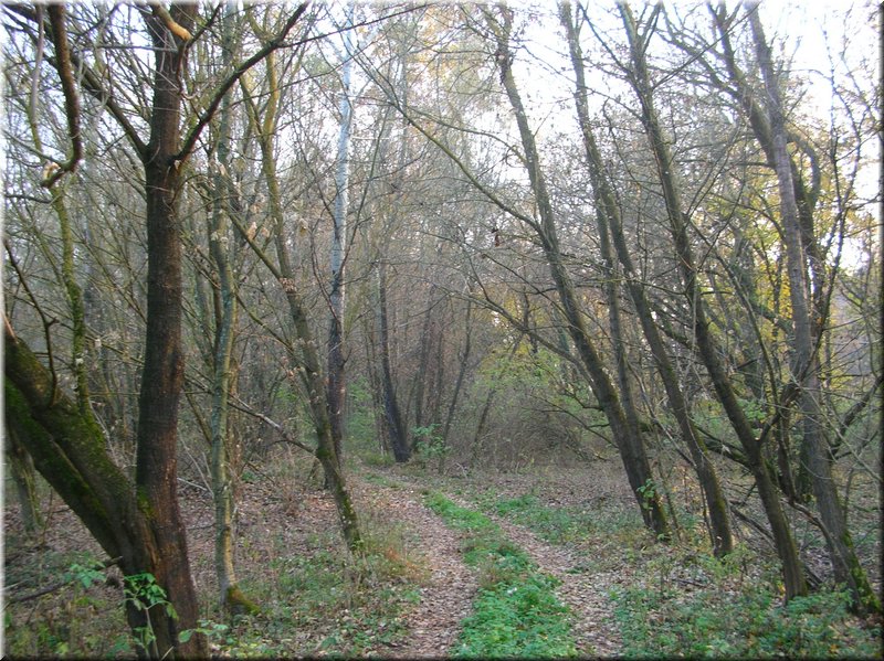 DSCN2486.JPG