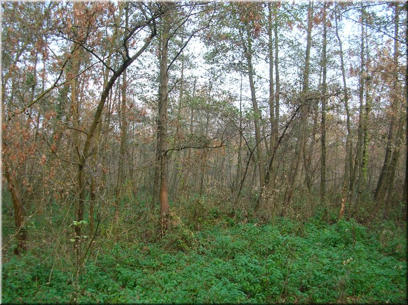 DSCN2487.JPG