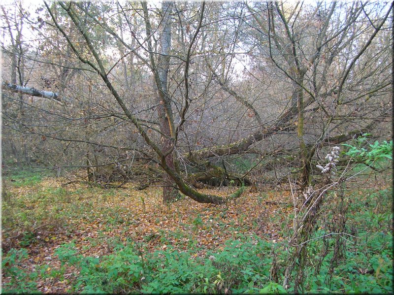 DSCN2488.JPG