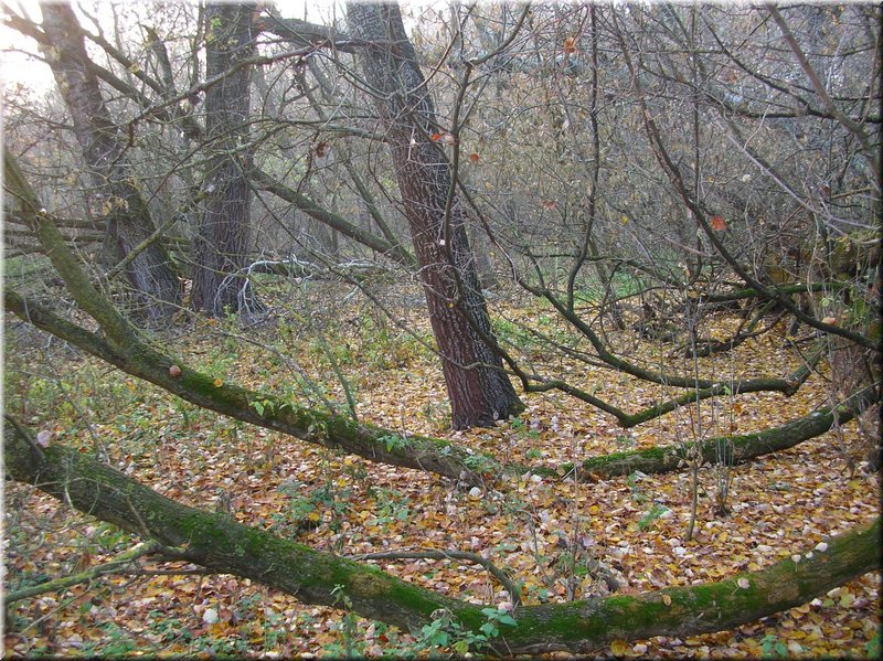 DSCN2489.JPG
