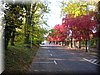 DSCN2095.JPG