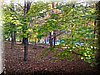 DSCN2098.JPG