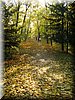 DSCN2099.jpg