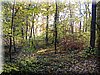 DSCN2102.JPG