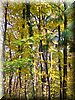 DSCN2106.jpg