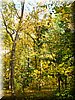 DSCN2110.jpg