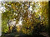 DSCN2111.JPG