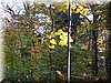 DSCN2112.JPG