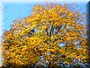 DSCN2113.JPG