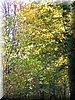 DSCN2118.jpg