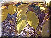 DSCN2123.JPG