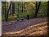 DSCN2124.JPG