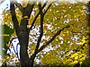 DSCN2128.JPG