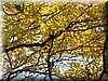 DSCN2129.JPG