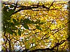 DSCN2130.JPG