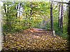 DSCN2131.JPG