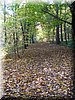 DSCN2132.jpg