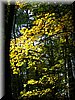 DSCN2134.jpg