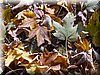 DSCN2136.JPG