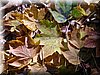 DSCN2137.JPG