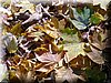 DSCN2138.JPG