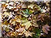 DSCN2139.JPG