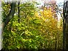 DSCN2140.JPG