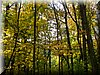 DSCN2143.JPG