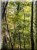 DSCN2146.jpg