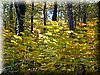 DSCN2153.JPG
