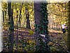 DSCN2154.JPG