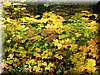 DSCN2156.JPG