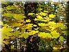 DSCN2157.JPG