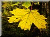 DSCN2158.JPG
