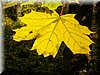 DSCN2159.JPG