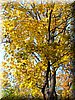 DSCN2160.jpg