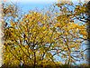 DSCN2162.JPG