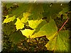 DSCN2163.JPG