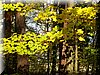 DSCN2165.JPG