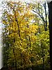 DSCN2169.jpg