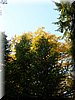 DSCN2178.jpg