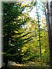 DSCN2179.jpg