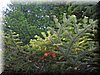 DSCN2180.JPG