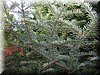 DSCN2181.JPG