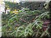 DSCN2182.JPG