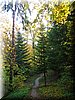 DSCN2185.jpg